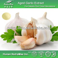 Garlic Extract, Garlic Extract Allicin, Aged Garlic Extract